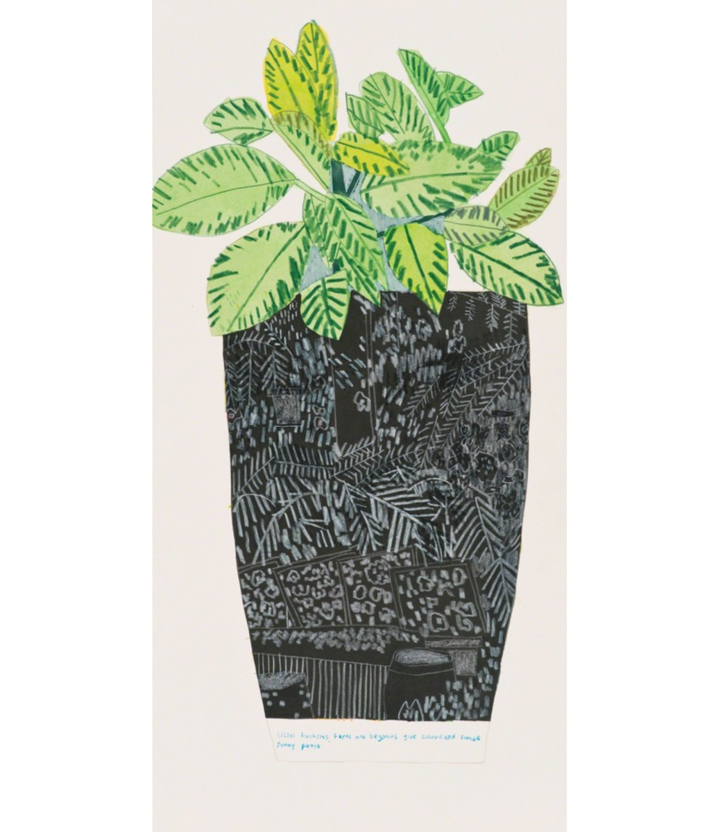 Черный горшок с зеленым растением, 2014