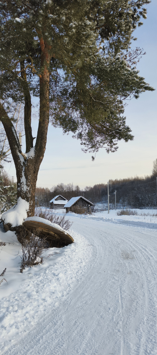 Вид на бани в сторону реки Крячёвки