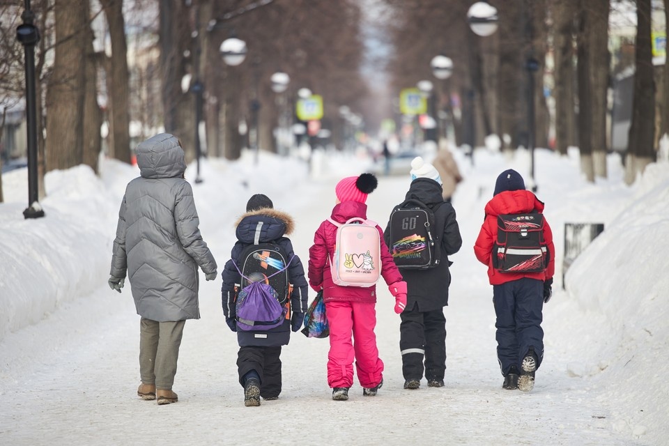    Свириденко заявила, что все школы Украины перейдут на удалёнку из-за морозов Николай ОБЕРЕМЧЕНКО