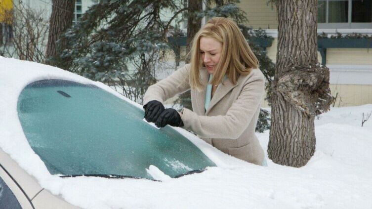     Фото: кадр из к/ф «Замерзшая из Майами», 2008 г.