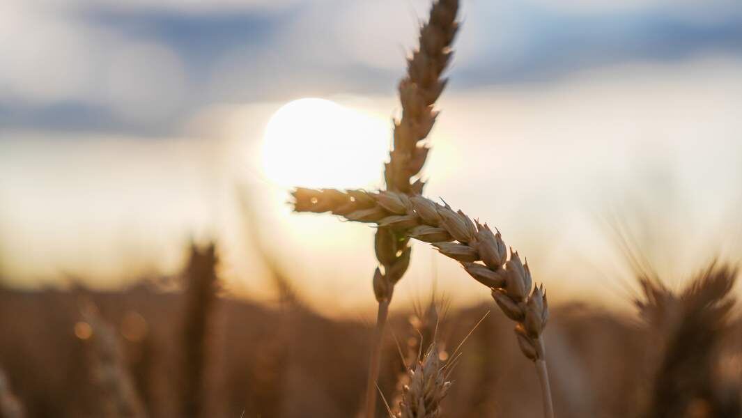    Фото: ИЗВЕСТИЯ/Эдуард Корниенко