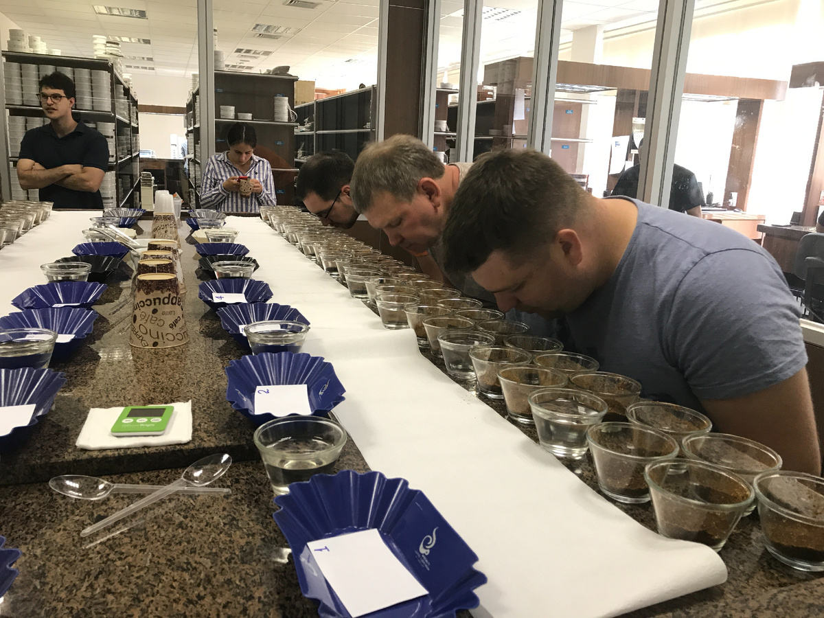 Каппинг кофе в Бразилии