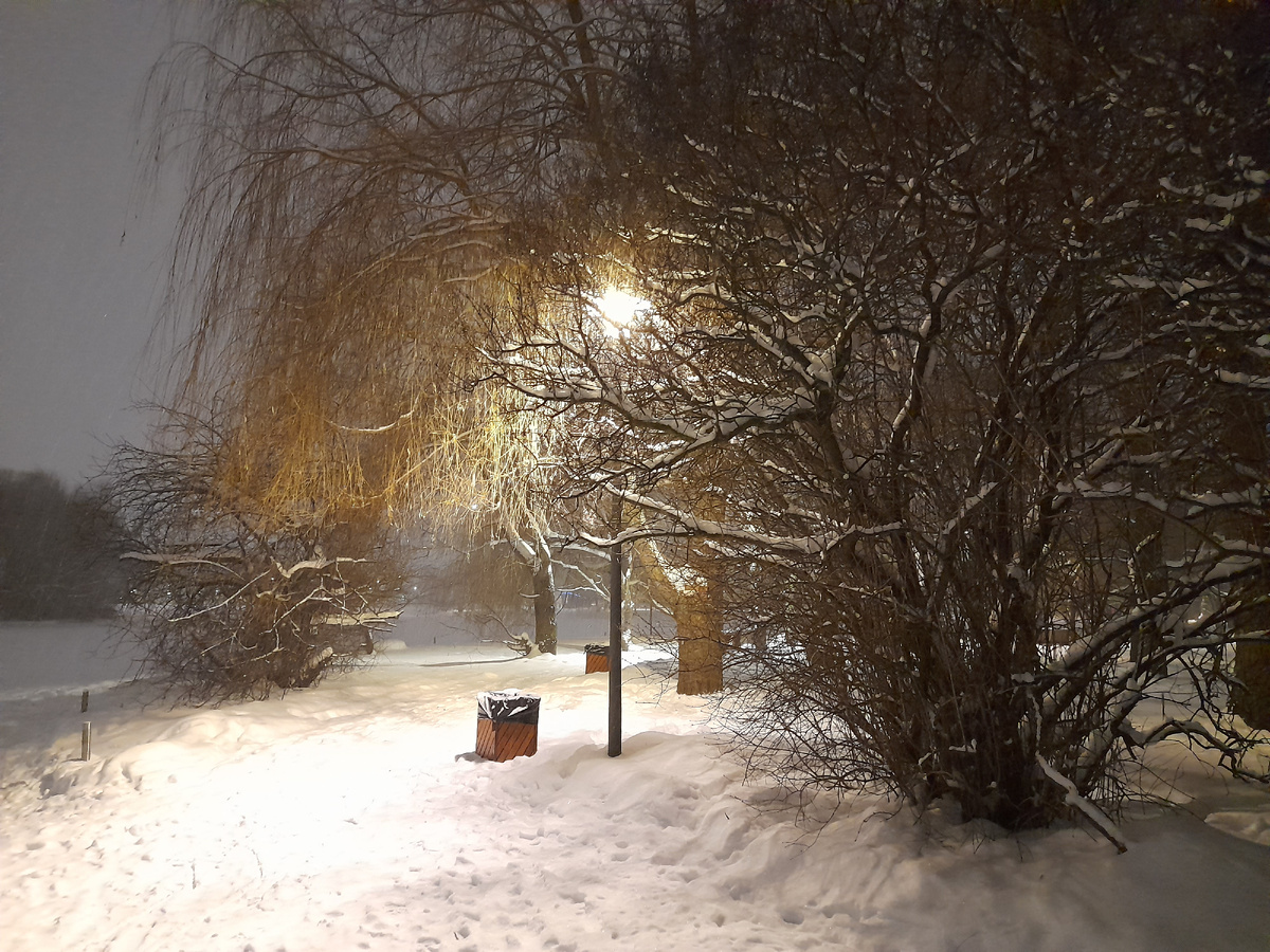 Наш парк. 08.01.2026