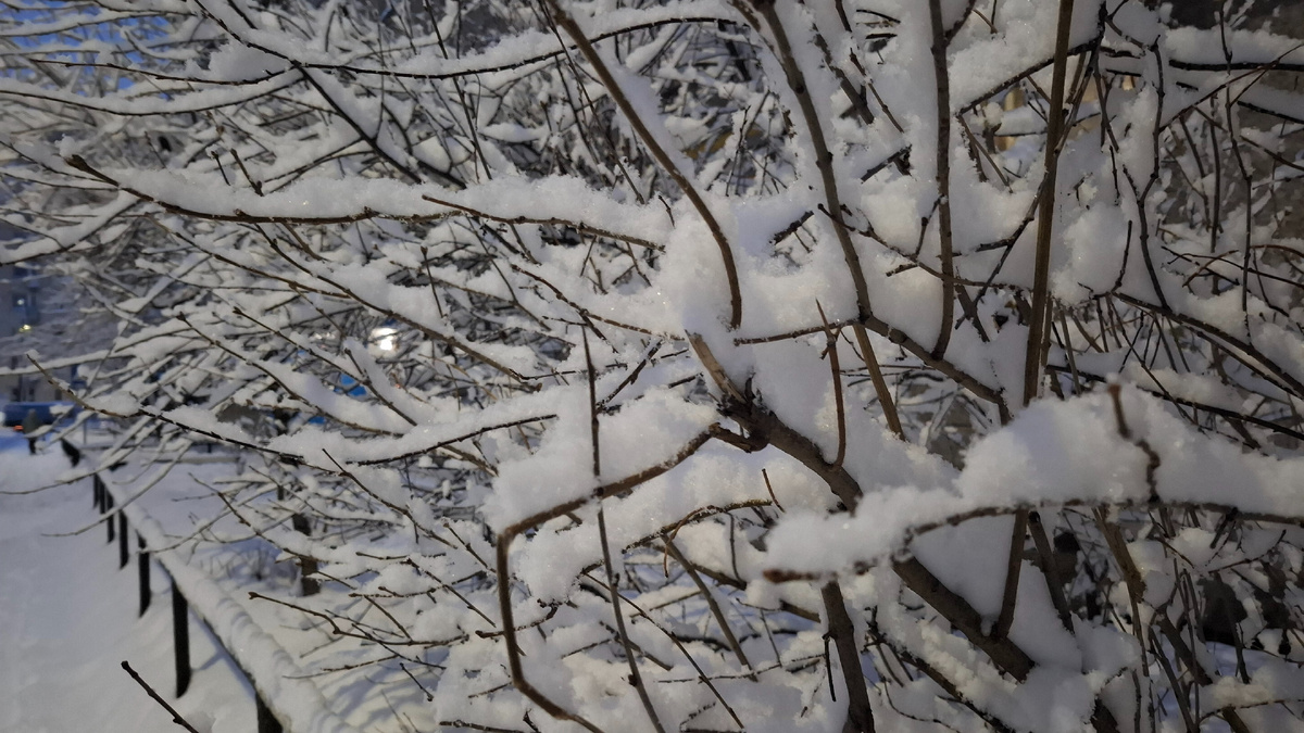 Разве не красота?