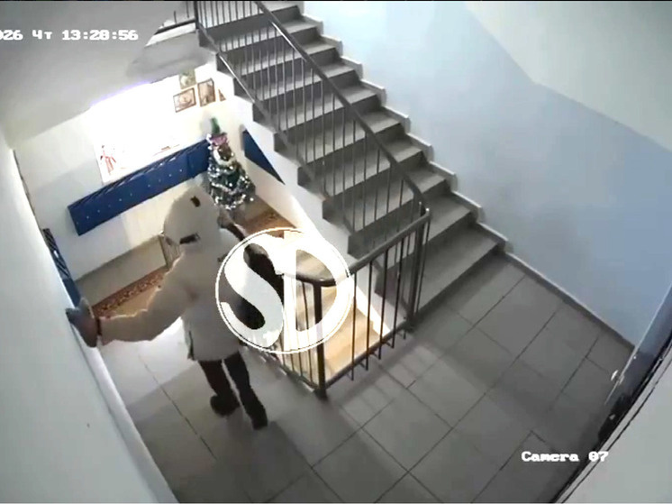     тг-канал "сахадэй"