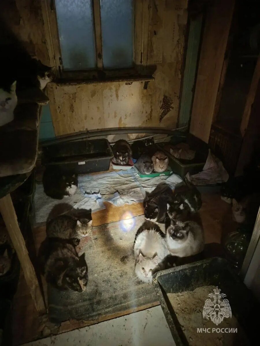    Фото: пресс-служба ГУ МЧС России по Калининградской области