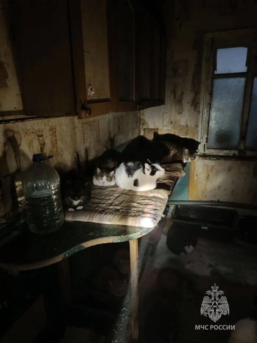    Фото: пресс-служба ГУ МЧС России по Калининградской области