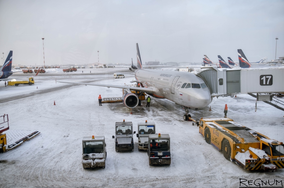     / Источник: Дарья Антонова © ИА REGNUM