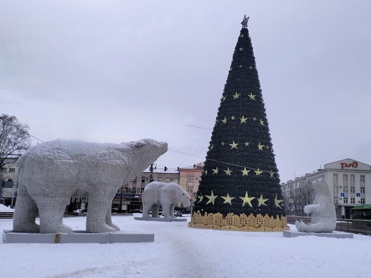     Фото: МК на Сахалине