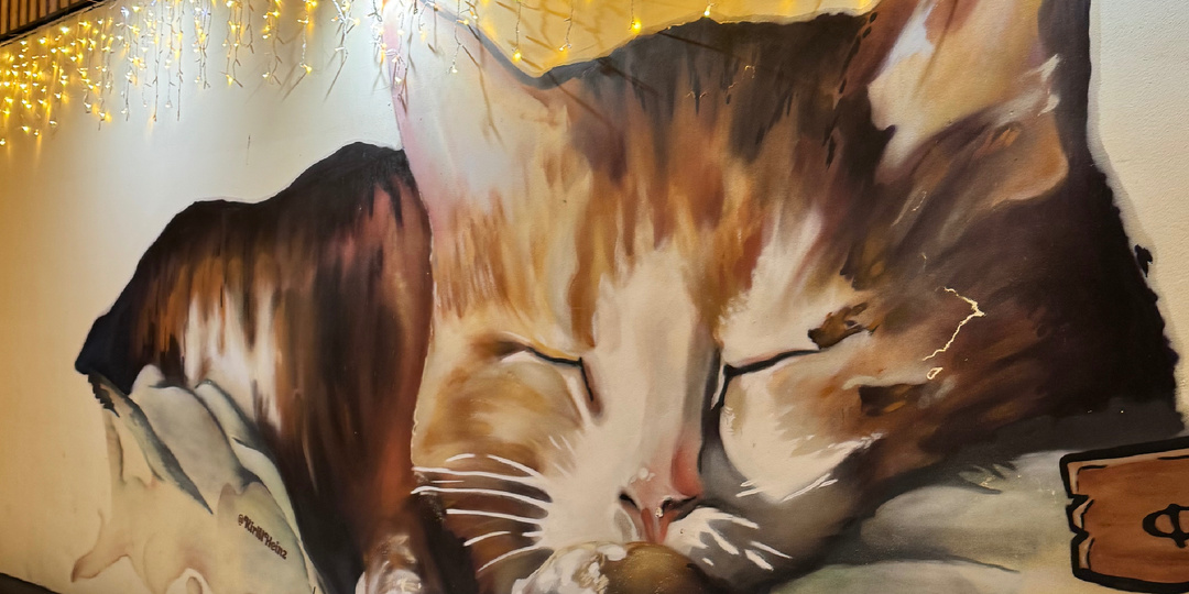 Зеленоградск—любовь с первого взгляда!