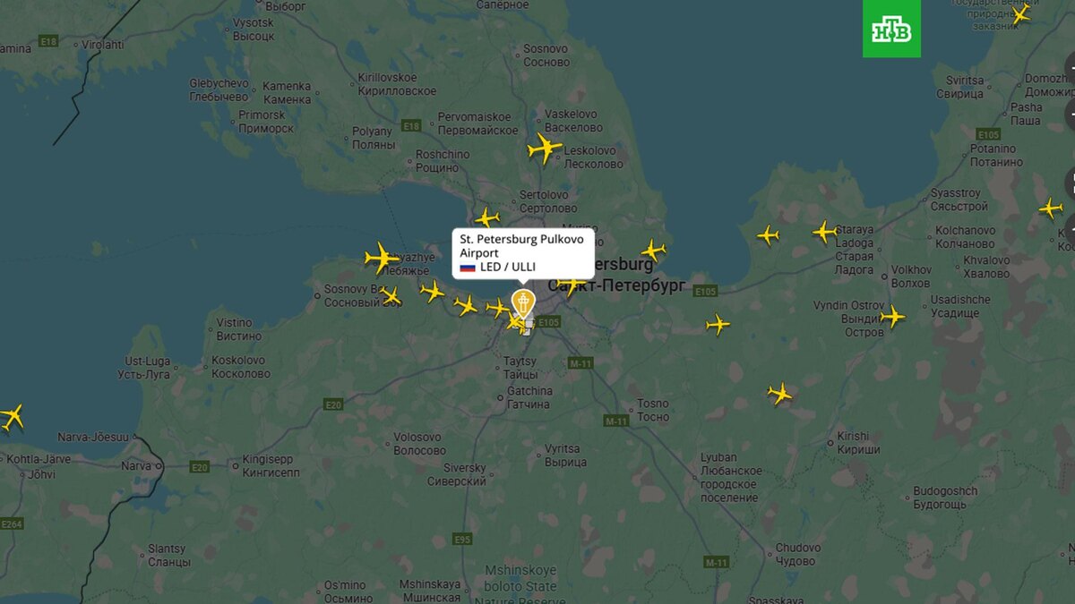    flightradar24.com