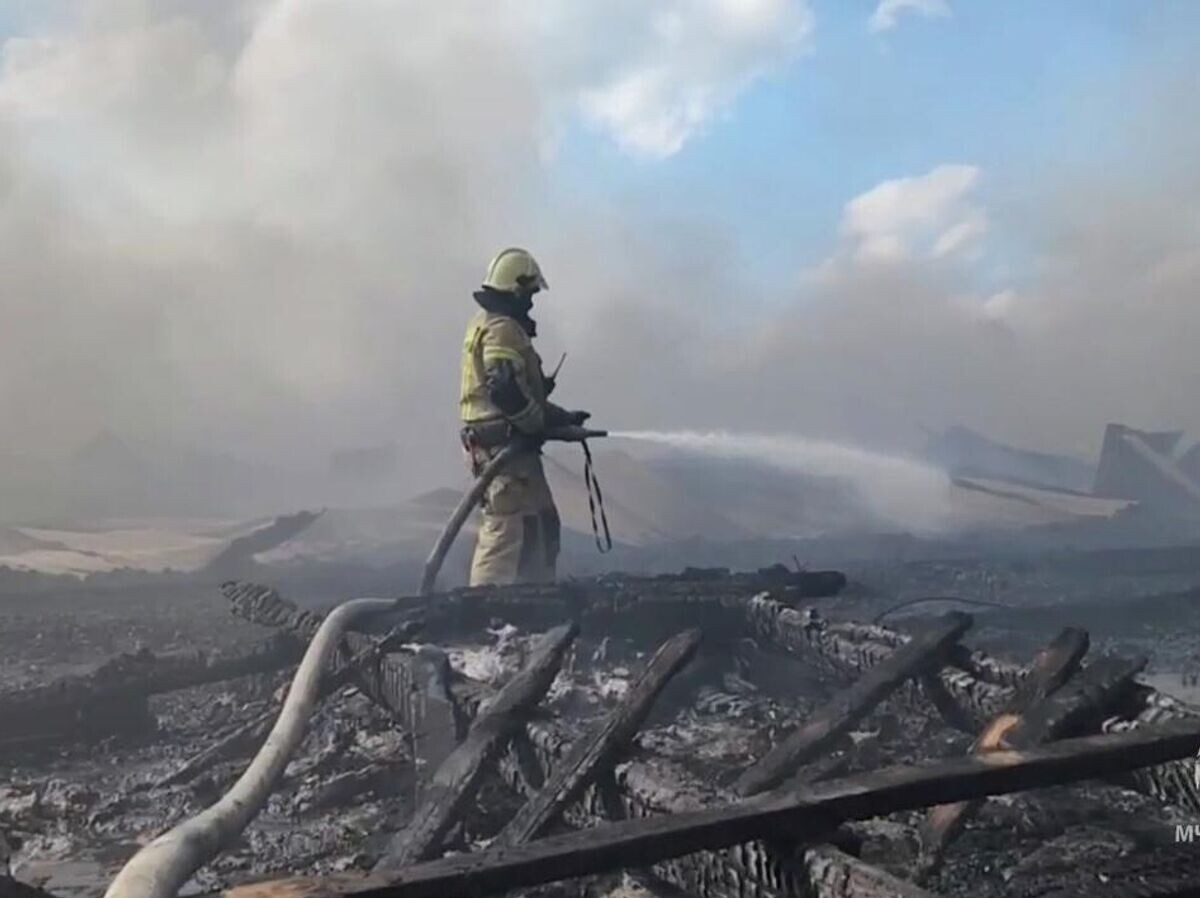    Ликвидация пожара на кровле птицефабрики в поселке Рощино Челябинской области | © МЧС России/Telegram