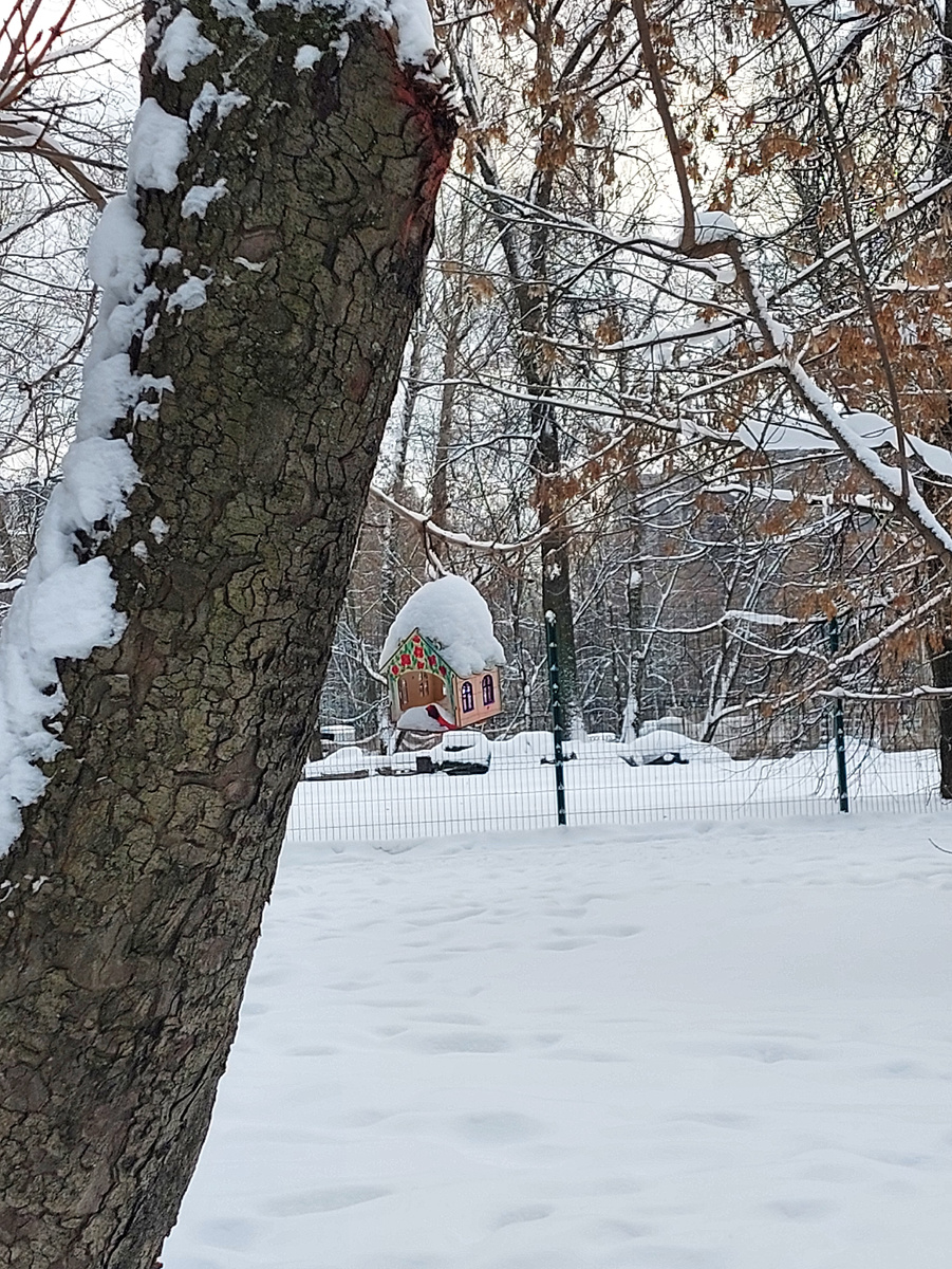 Фото автора статьи