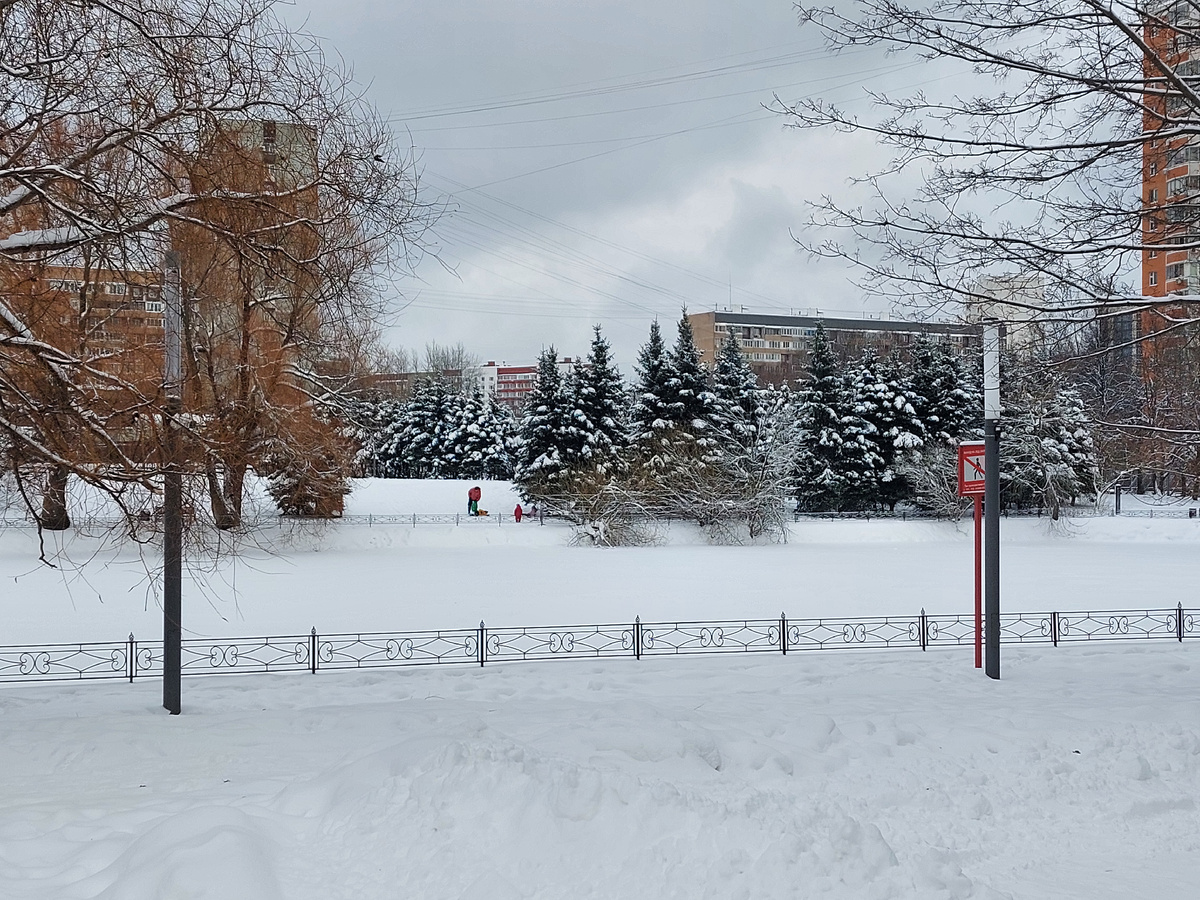 Фото автора статьи.