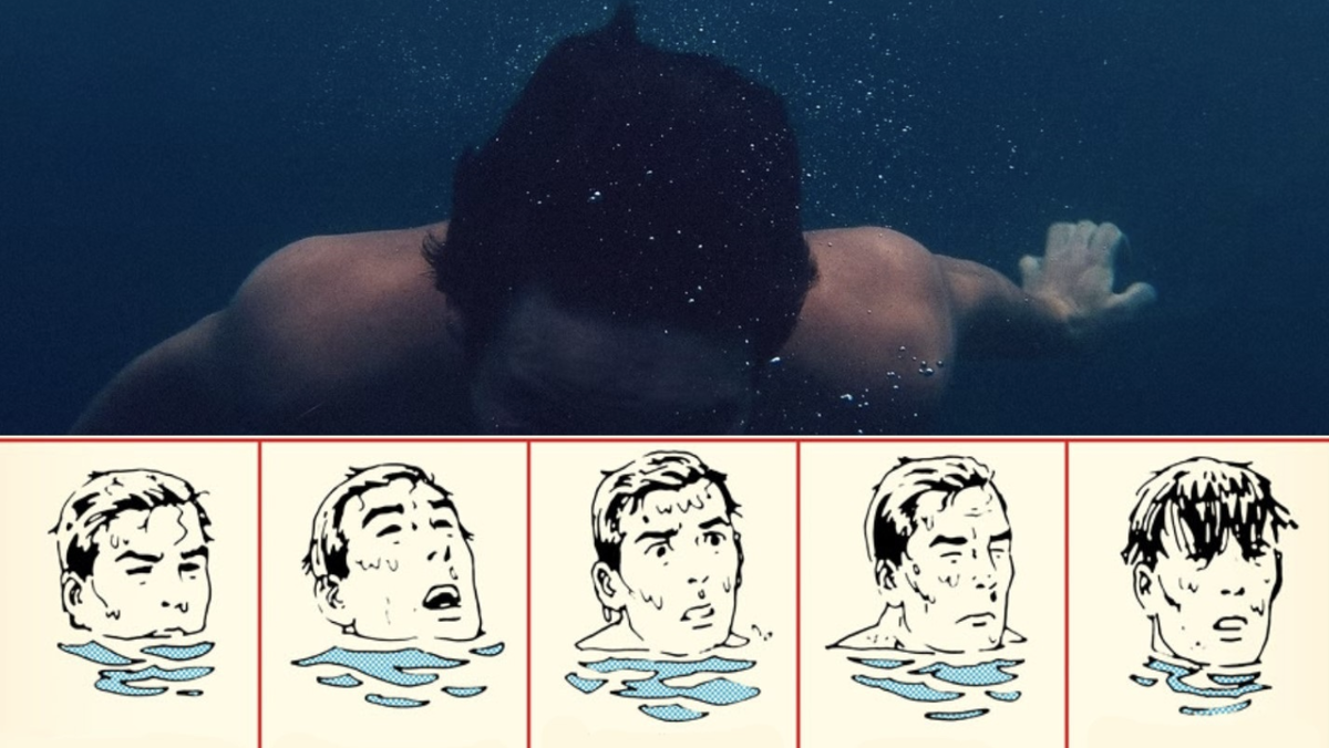 Картинка взята из открытого источника