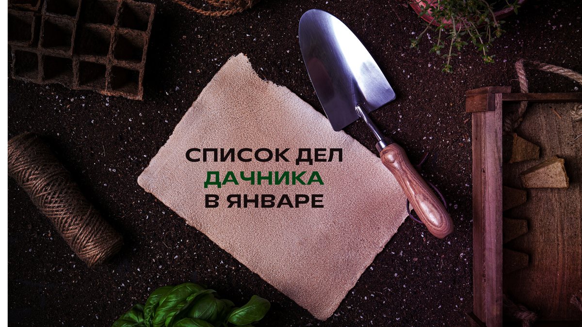 Давайте начнём новый год без спешки!?