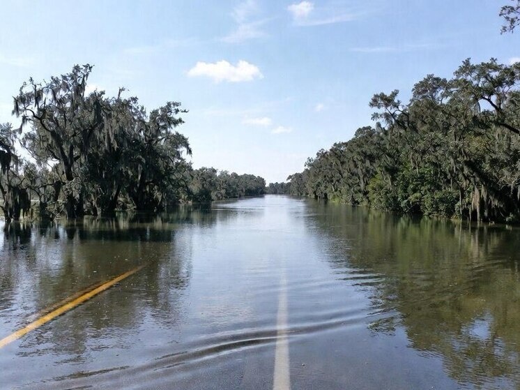    Фото: генерация Grok