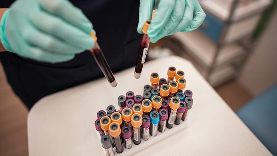    Фото: ИЗВЕСТИЯ/Сергей Лантюхов