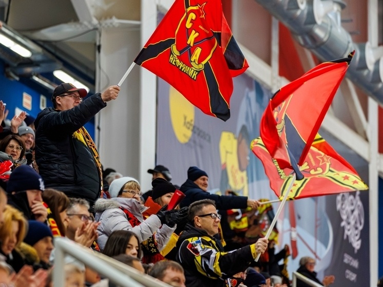     Хабаровский «СКА-Нефтяник» продолжает лидировать в чемпионате, даже не вступая в игру. Фото: ХК "СКА-Нефтяник"