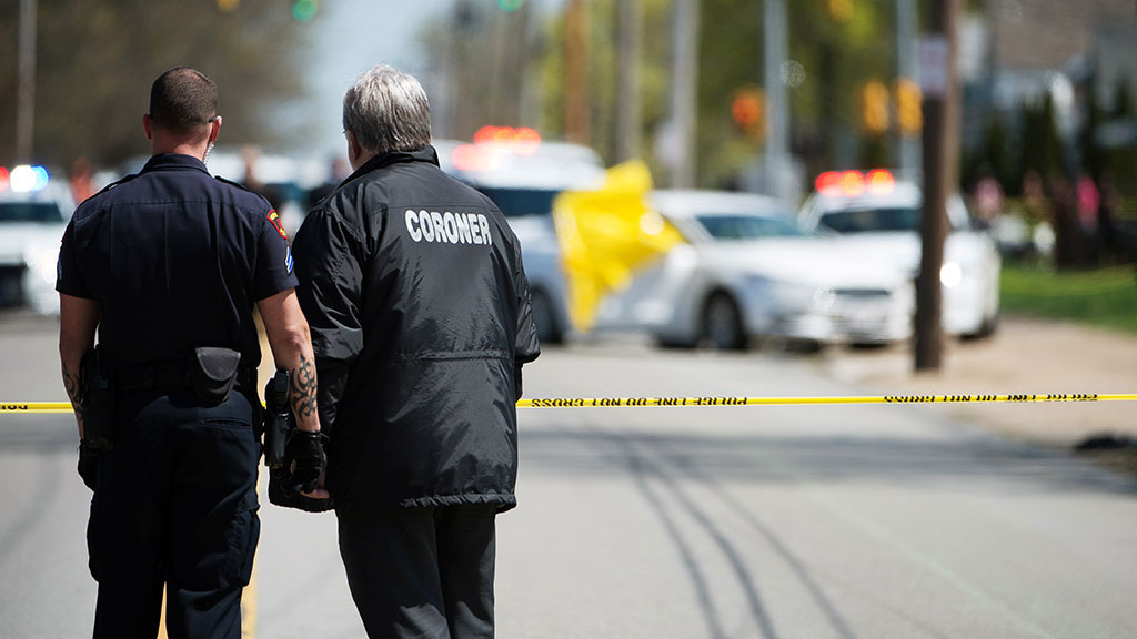     / Источник: Социальные сети