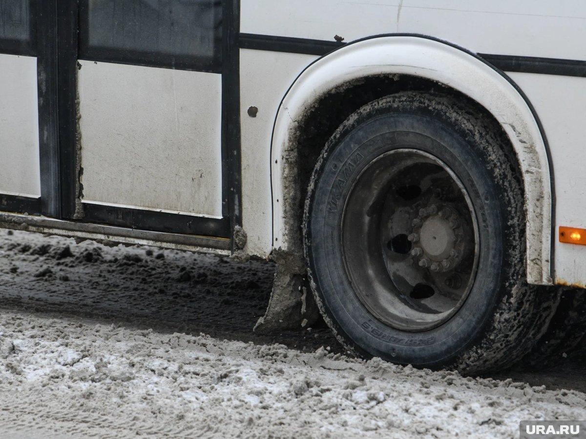     Выставленные на торги автобусы были выпущены в 2012 году