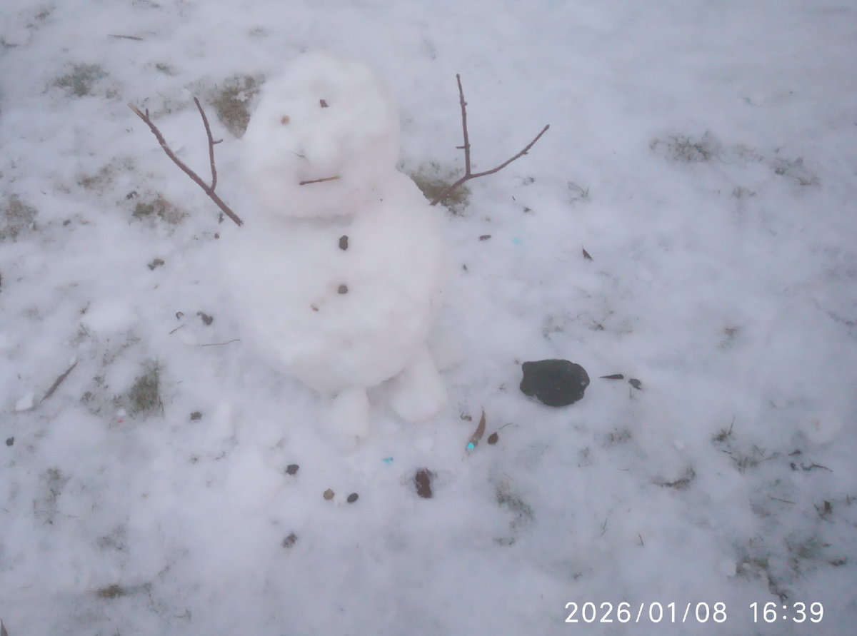Такого снеговика сегодня "встретили" во дворе