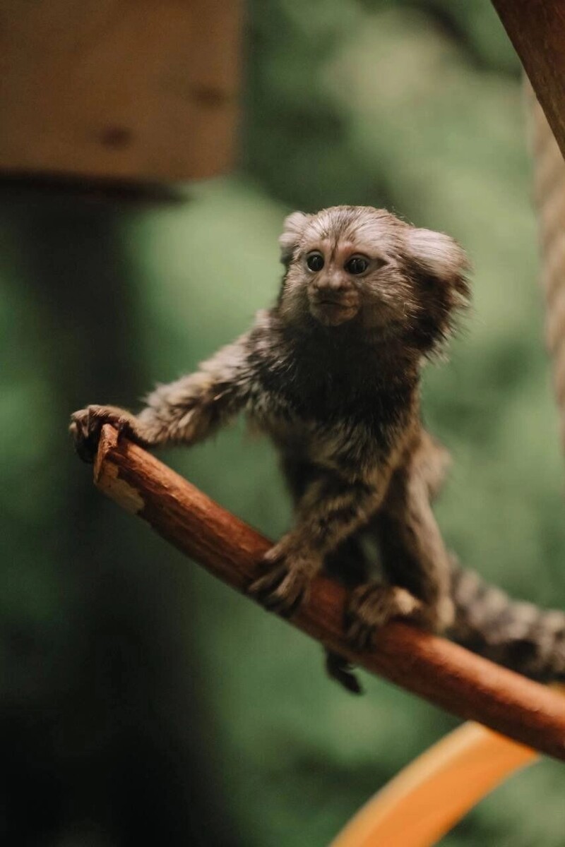   Егор Голубкин / Челябинский зоопарк