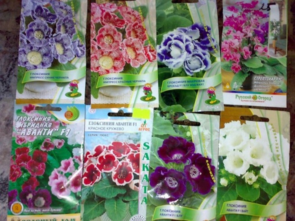 Яндекс. Картинки