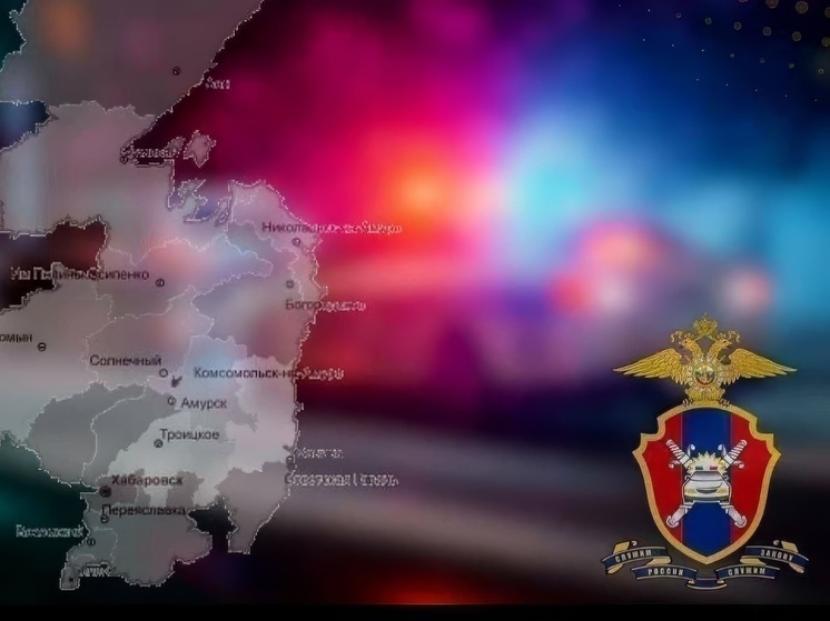     В Хабаровском крае 8 января 5 человек получили травмы на дорогах. Фото: Госавтоинспекция Хабаровского края