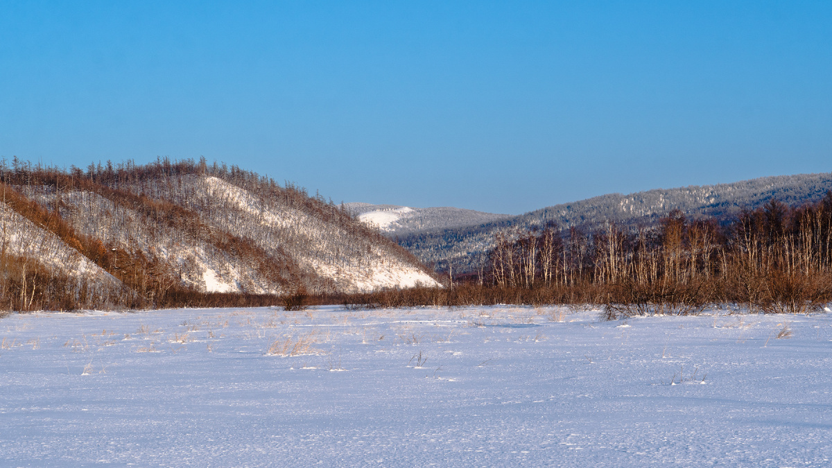 Долина речки Первая