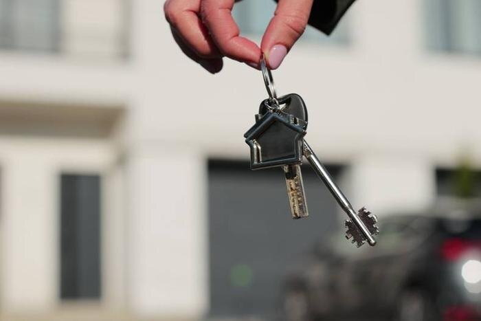 Обложка © Shutterstock / FOTODOM / AlpakaVideo