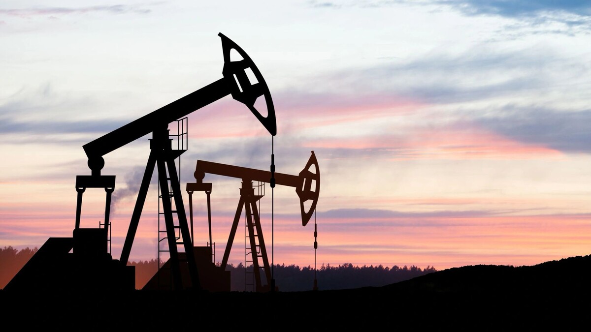    Фото: Hamara/Shutterstock/Fotodom