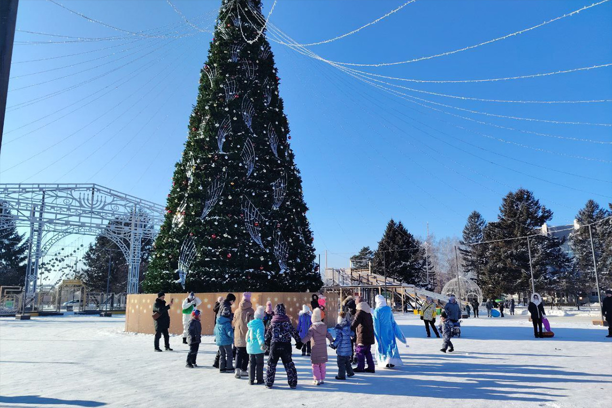    Фото: мэрия Биробиджана