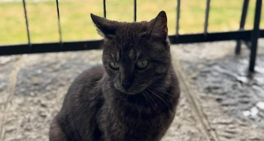    Фото Анастасии Дмитриевой