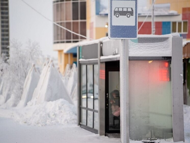     Фото: Сергей Зубков/ «Ямал-Медиа»
