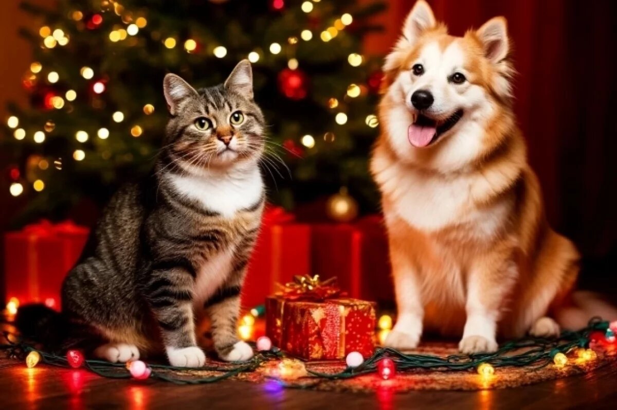    Нотариус Кузбасса Крайнова раскрыла, можно ли завещать имущество животному