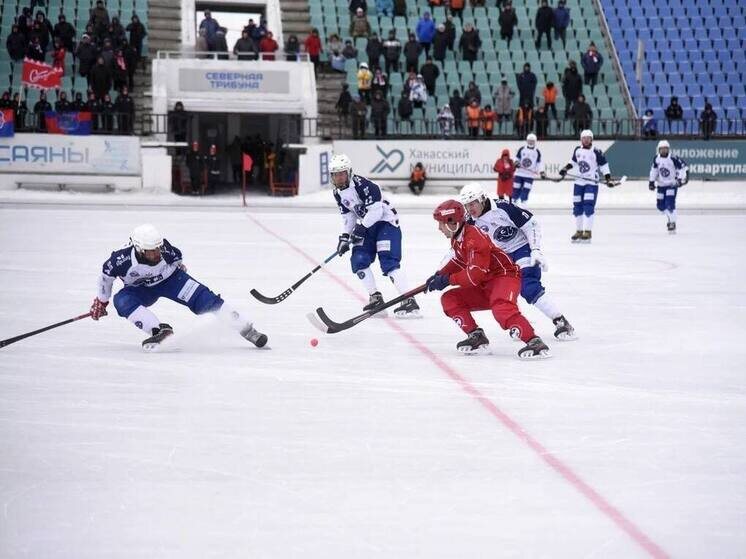     Фото: официальный телеграм-канал ХК "Сибсельмаш"