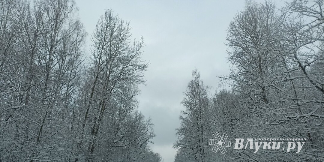 Прогноз погоды в Великих Луках на 9 января