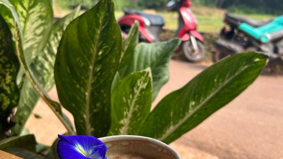 Доброе утро, когда твой самолет в Гоа? Капучино остывает