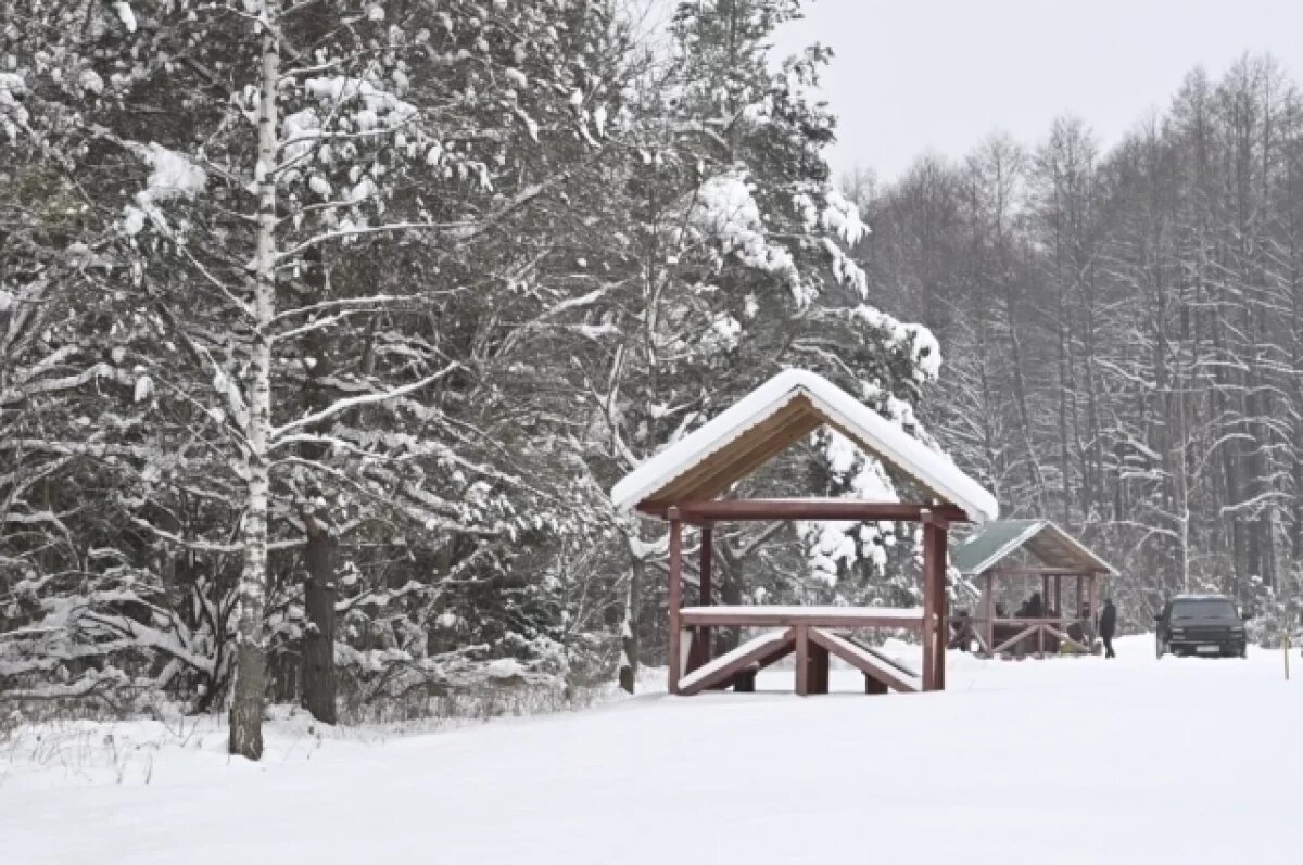    В Брянской области благоустроят озеро Бежань и расчистят русло реки Десны