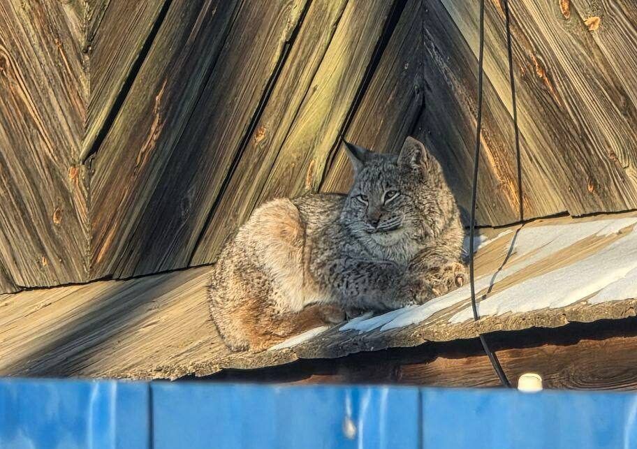    Фото: Администрация Карымского округа