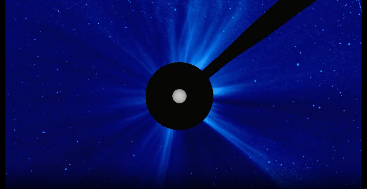 Фото: скриншот видео xras.ru