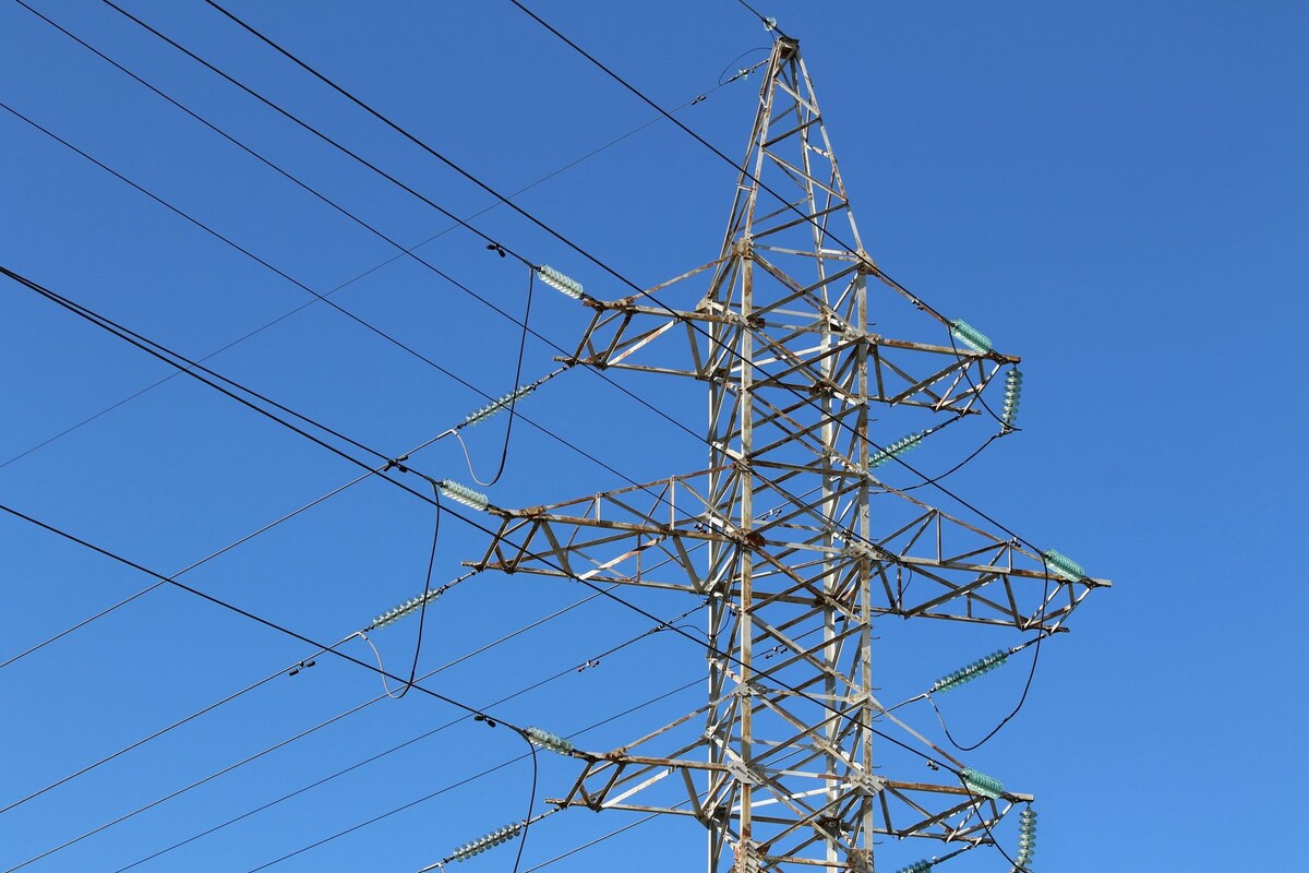     / Источник: © Maksim Konstantinov/Global Look Press