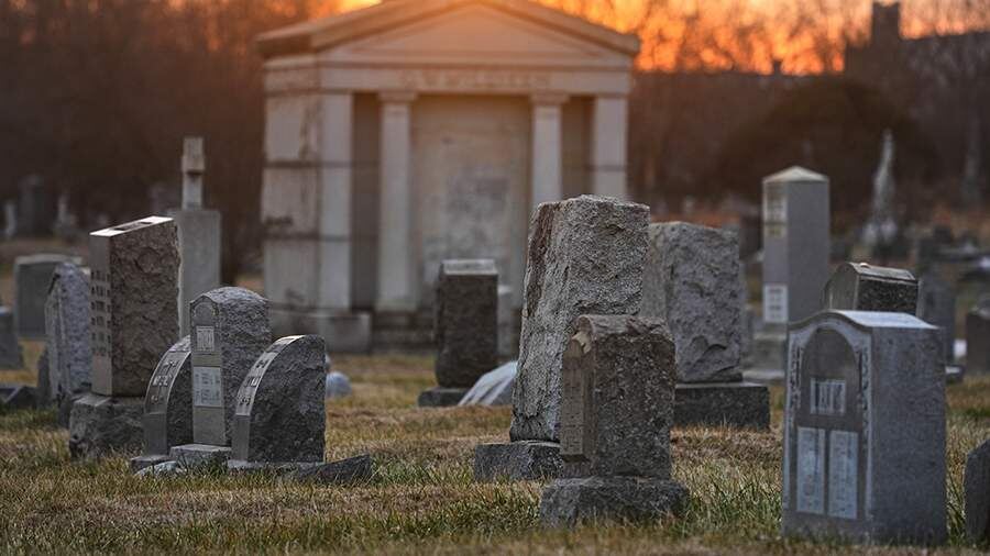    Фото: AP/Matt Rourke