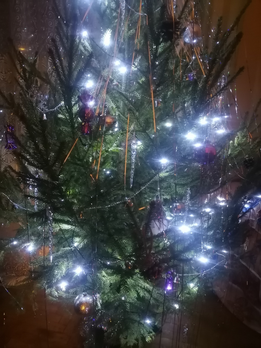 Личное фото автора, из архива. Моя прошлогодняя красивейшая живая ёлка))