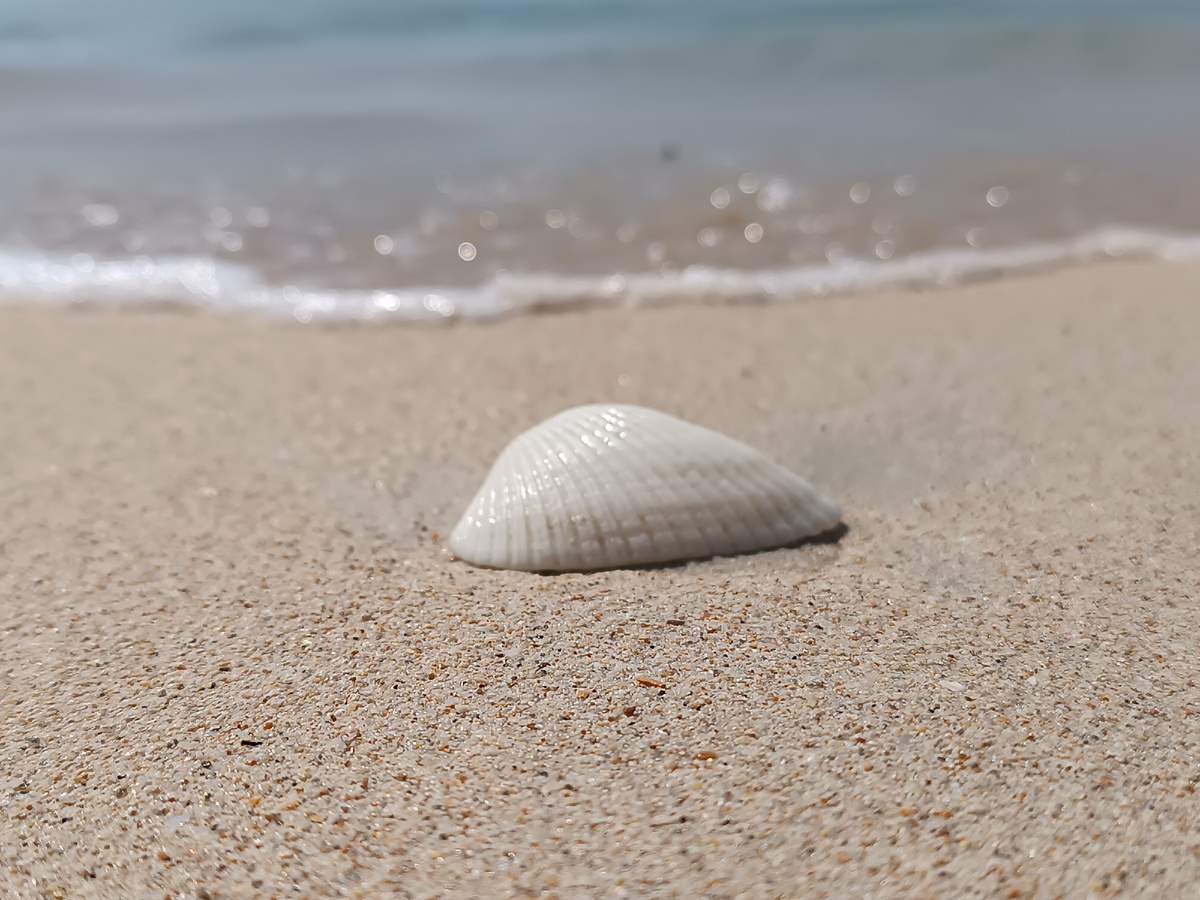 Цвет и структура песка