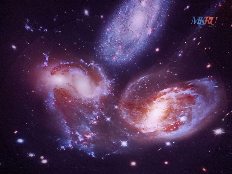     Фото: «МК в Калуге»