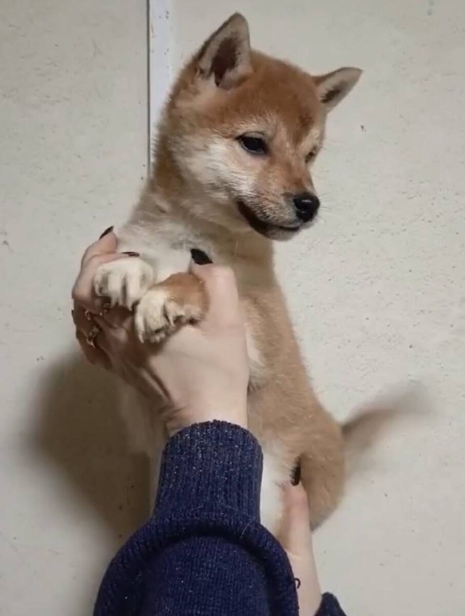 Это самая первая фотка, которая я увидела)