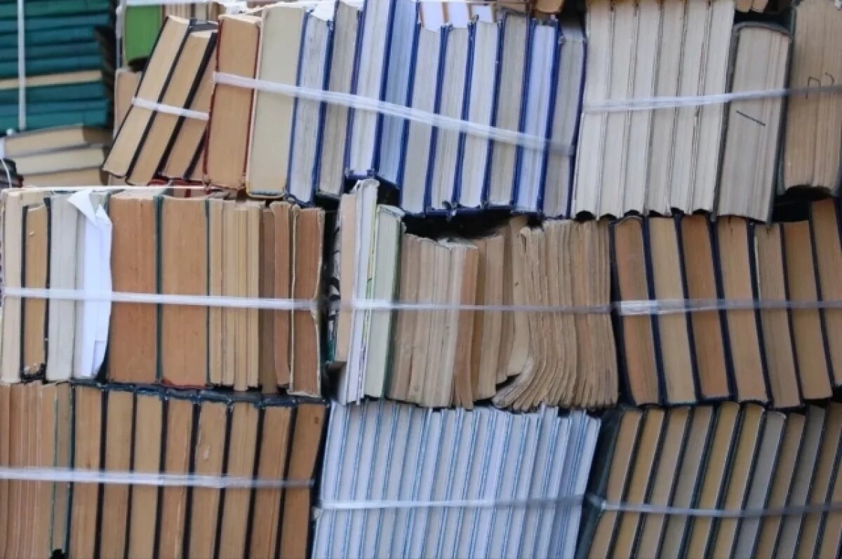    В Алтайском крае в 2026 году откроют три новые модельные библиотеки