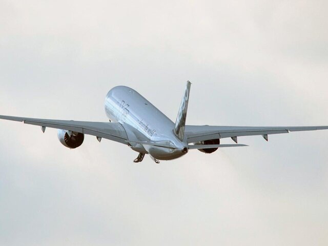    Фото: depositphotos/Shebeko